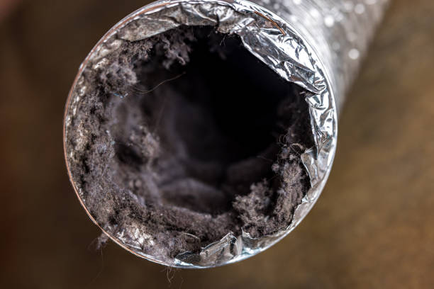 Best Air Duct Inspection  in Vidor, TX