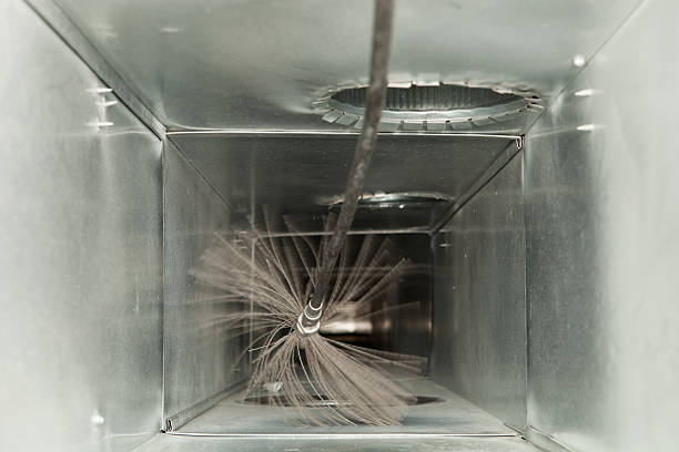 Best Dryer Vent Cleaning Services  in Vidor, TX