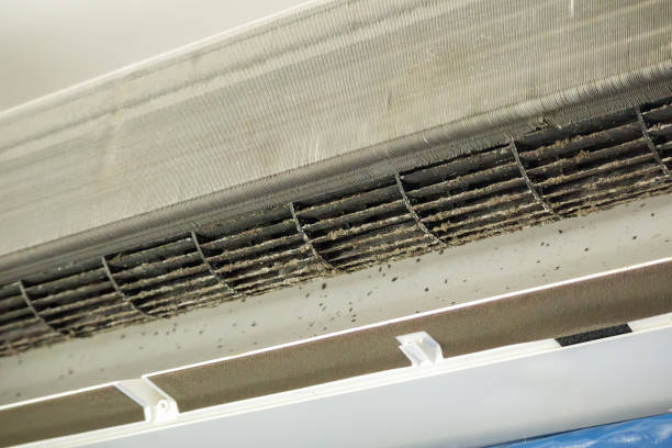 Best Commercial HVAC Duct Cleaning  in Vidor, TX