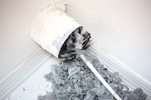 Best Affordable Duct Cleaning Services  in Vidor, TX